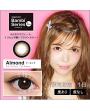 Japan Angelcolor 1day Bambi Series AquaRich Eyes Contact Lenses 10 Boxes - Almond