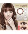 Japan Naturali 1day Eyes Contact Lenses 10 Boxes - Natural Light Brown
