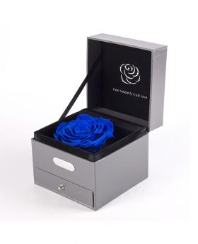 Preserved Fresh Royal Blue Big Rose Immortal Flower with Music Box