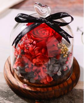 红色玫瑰永生花玻璃罩礼盒