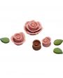 No.2 Japan Sweet Message De Rose Chocolate ロズレ　ロゼ (6 Pieces)