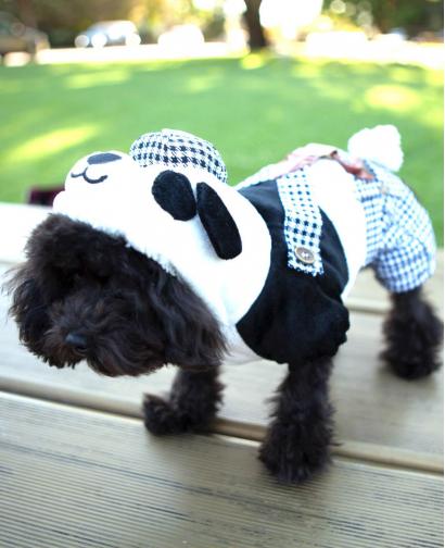 Cute Dog Panda Jacket