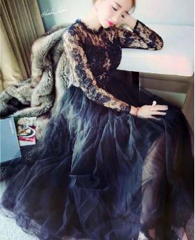Europe Style Black Swan Sexy Perspective Lace Extend Long Dress