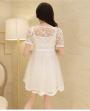 Flowers Embroidered Lace Dress 2 Pieces
